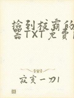 捡到校霸的遥控器TXT免费阅读