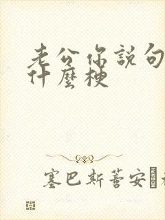 老公你说句话啊什么梗