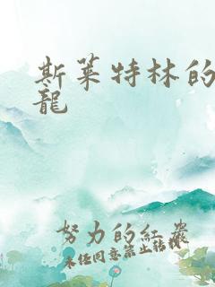 斯莱特林的铂金龙