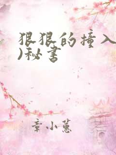 狠狠的撞入(h)秘书