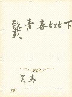 致青春txt下载