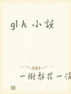 gl h 小说