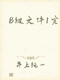 B级文件1完整
