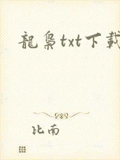 龙枭txt下载