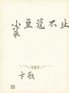 小豆蔻不止是颗菜