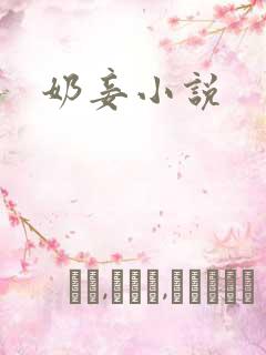 奶妾小说