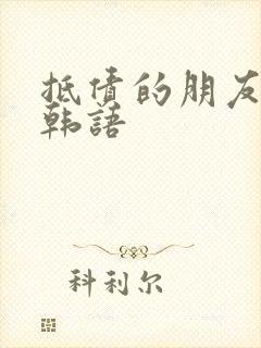 抵债的朋友麦子韩语