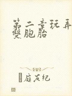 第二章玩弄少妇双胞胎