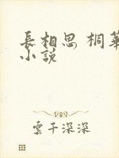 长相思 桐华 小说