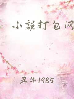小说打包网