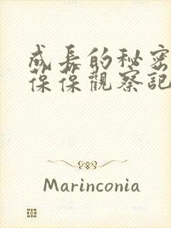 成长的秘密毛毛葆葆观察记录