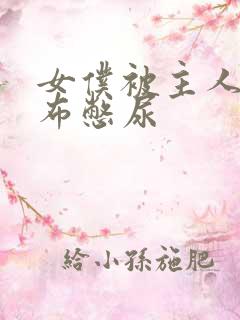 女仆被主人用胶布憋尿