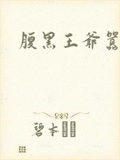 腹黑王爷嚣张妻