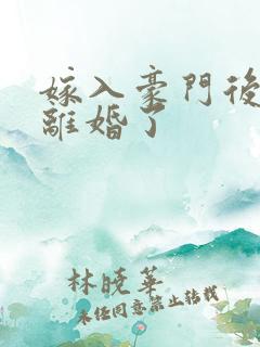 嫁入豪门后我又离婚了