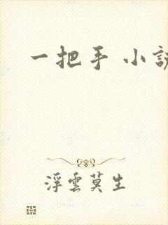 一把手 小说