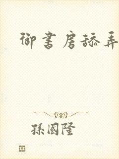 御书房舔弄花心