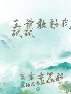 王爷敢动我妈咪试试