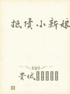 抵债小新娘