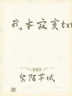 我本寂寞txt