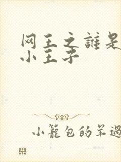 网王之谁是我的小王子