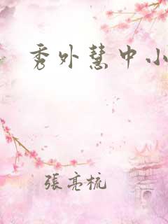 秀外慧中小说