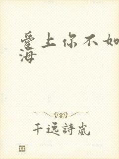 爱上你不如爱上海