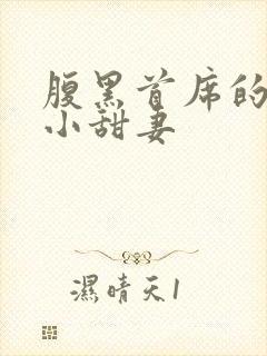 腹黑首席的替身小甜妻