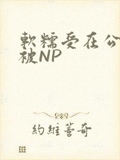 软糯受在公交车被NP