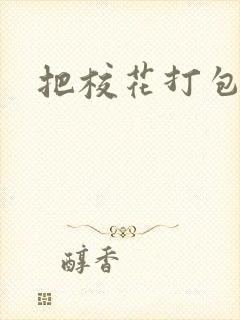 把校花打包带走