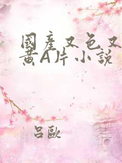 国产又色又爽又黄A片小说