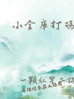 小金库打码平台