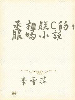 丞相朕C的你舒服吗小说