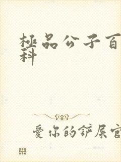 极品公子百度百科