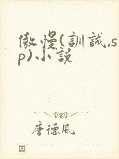 傲慢(训诫,sp)小说