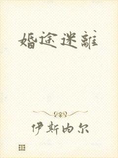 婚途迷离