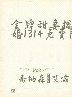金牌甜妻总裁宠婚1314免费阅读