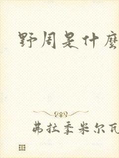 野周是什么意思