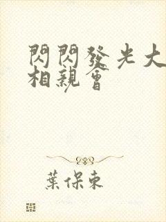 闪闪发光大团圆相亲会