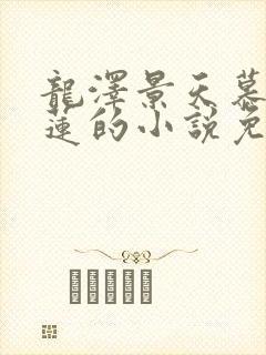 龙泽景天慕容青莲的小说免费阅读