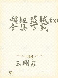 超级盗贼txt全集下载