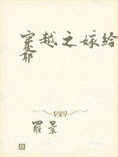 穿越之嫁给傻王爷