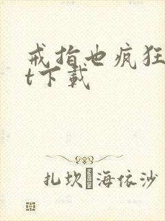 戒指也疯狂txt下载