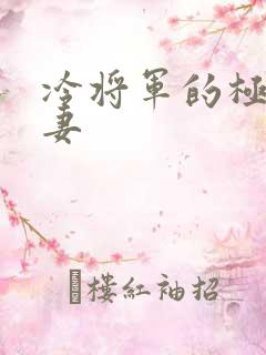 冷将军的极品娇妻