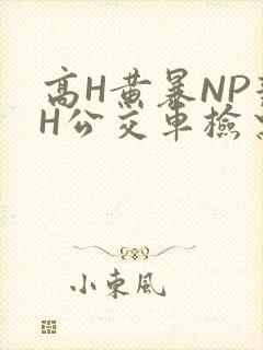 高H黄暴NP辣H公交车检票员