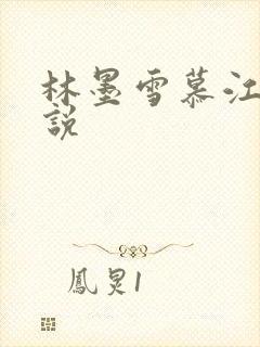 林墨雪慕江行小说