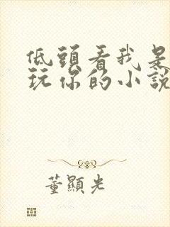 低头看我是怎么玩你的小说