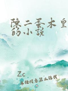 陈二蛋木皇真经的小说