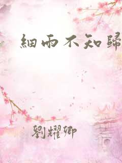 细雨不知归