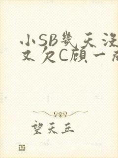 小SB几天没做又欠C顾一成视频