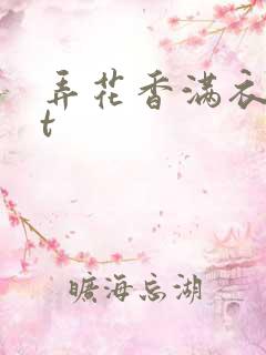弄花香满衣txt